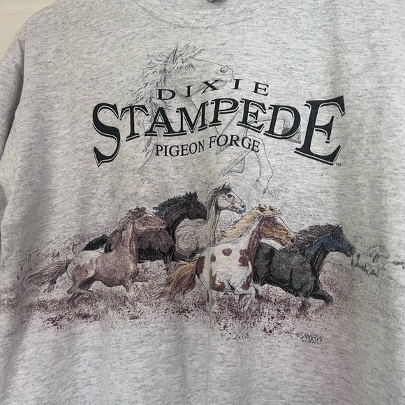 Gray Dixie Stampede Pigeon Forge T-Shirt - Picture 2 of 5